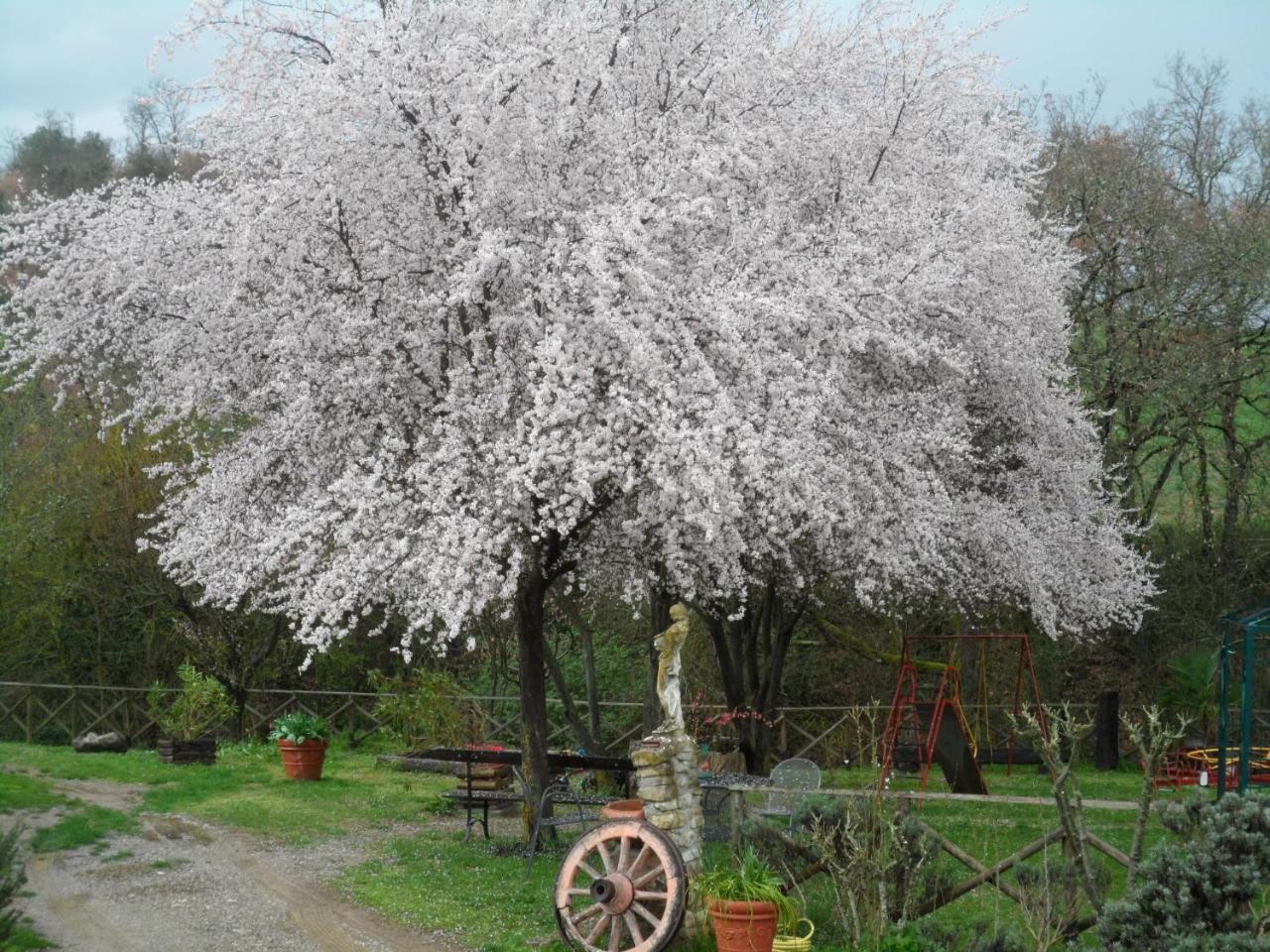 Locanda Delle Noci Pérouse Extérieur photo